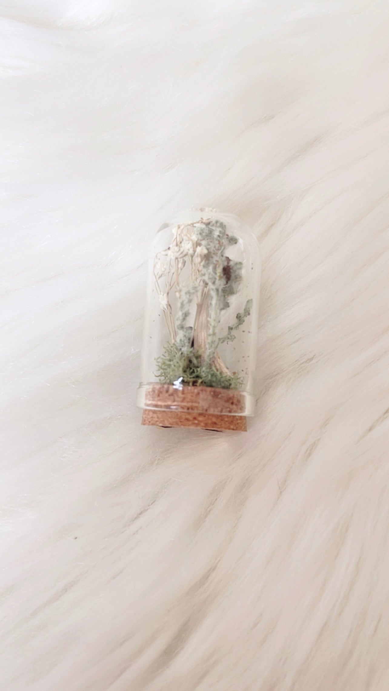 Melvin Mini Terrarium