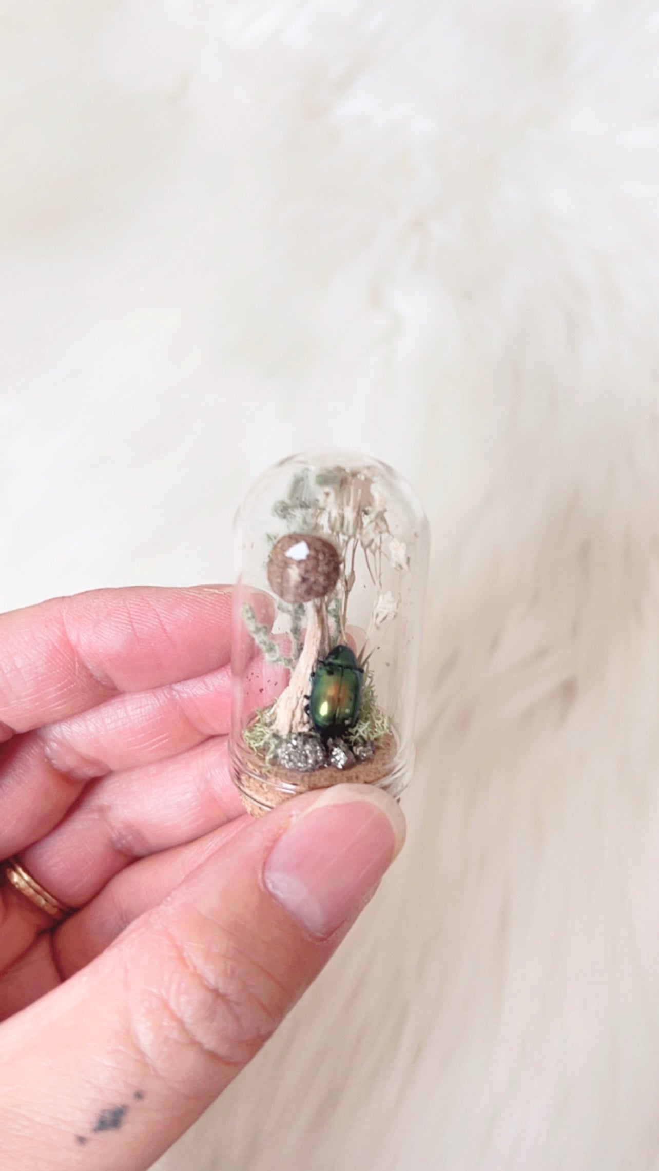 Melvin Mini Terrarium