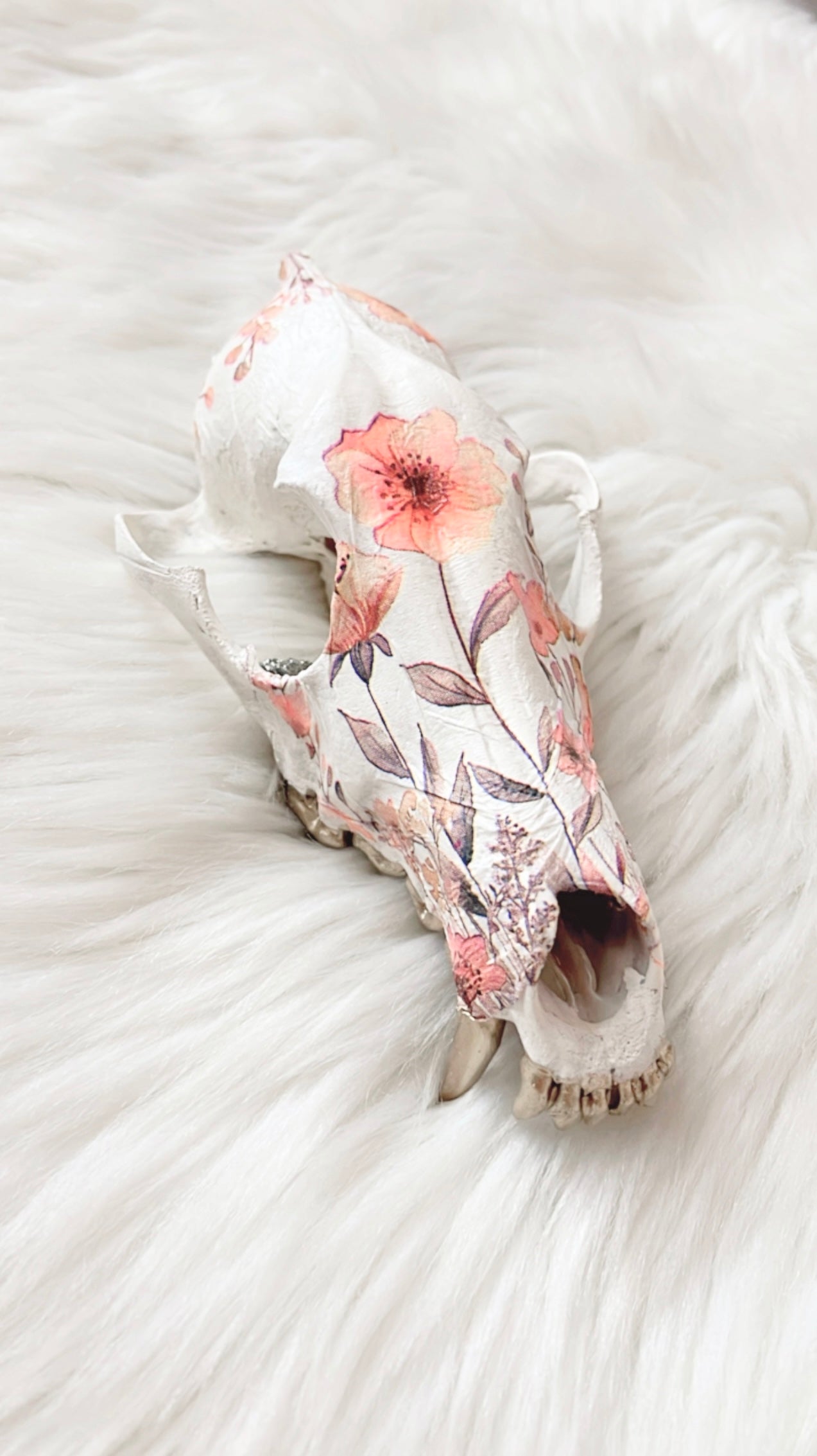 Mia Coyote Skull