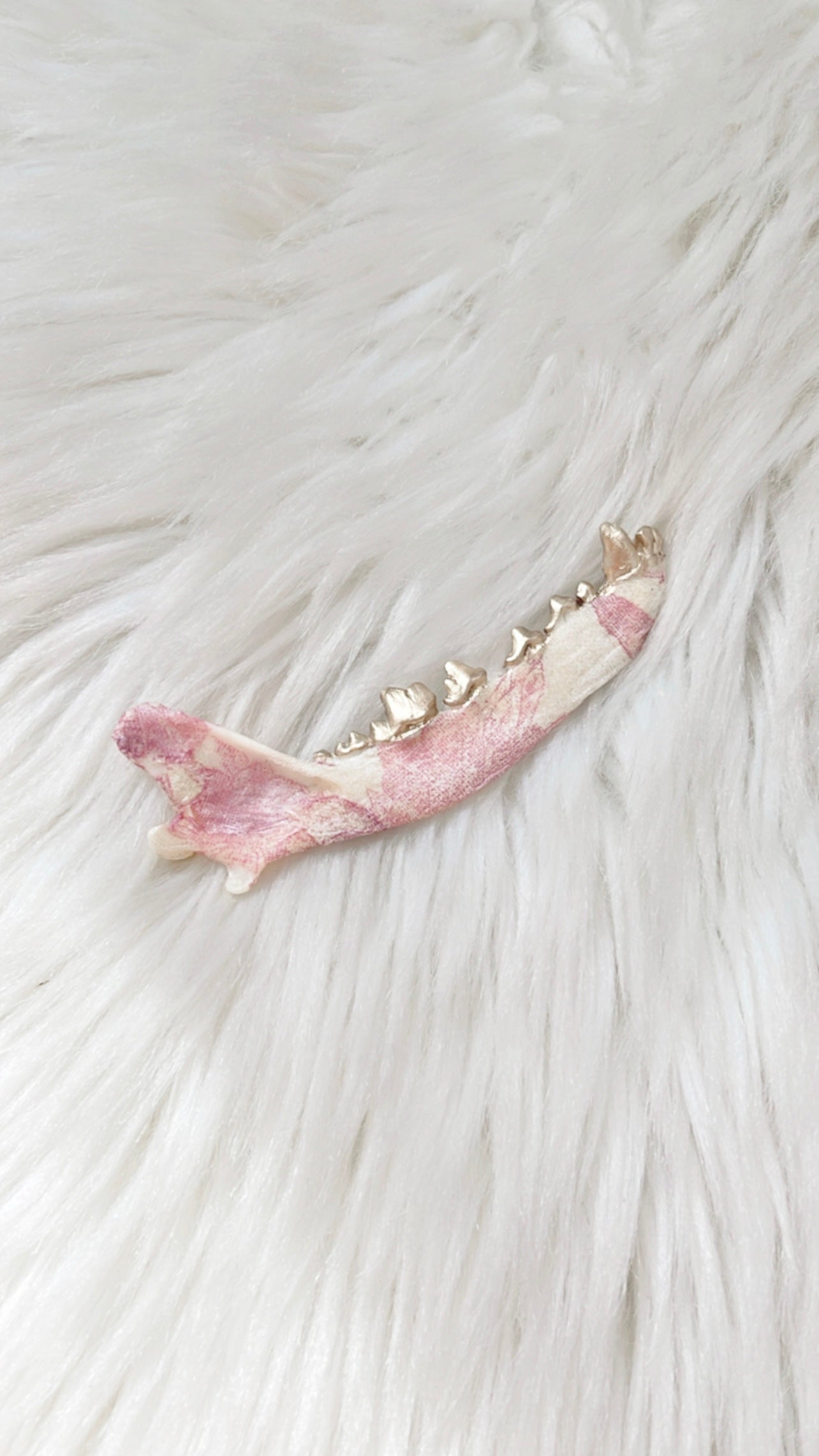 Mia Fox Jaw
