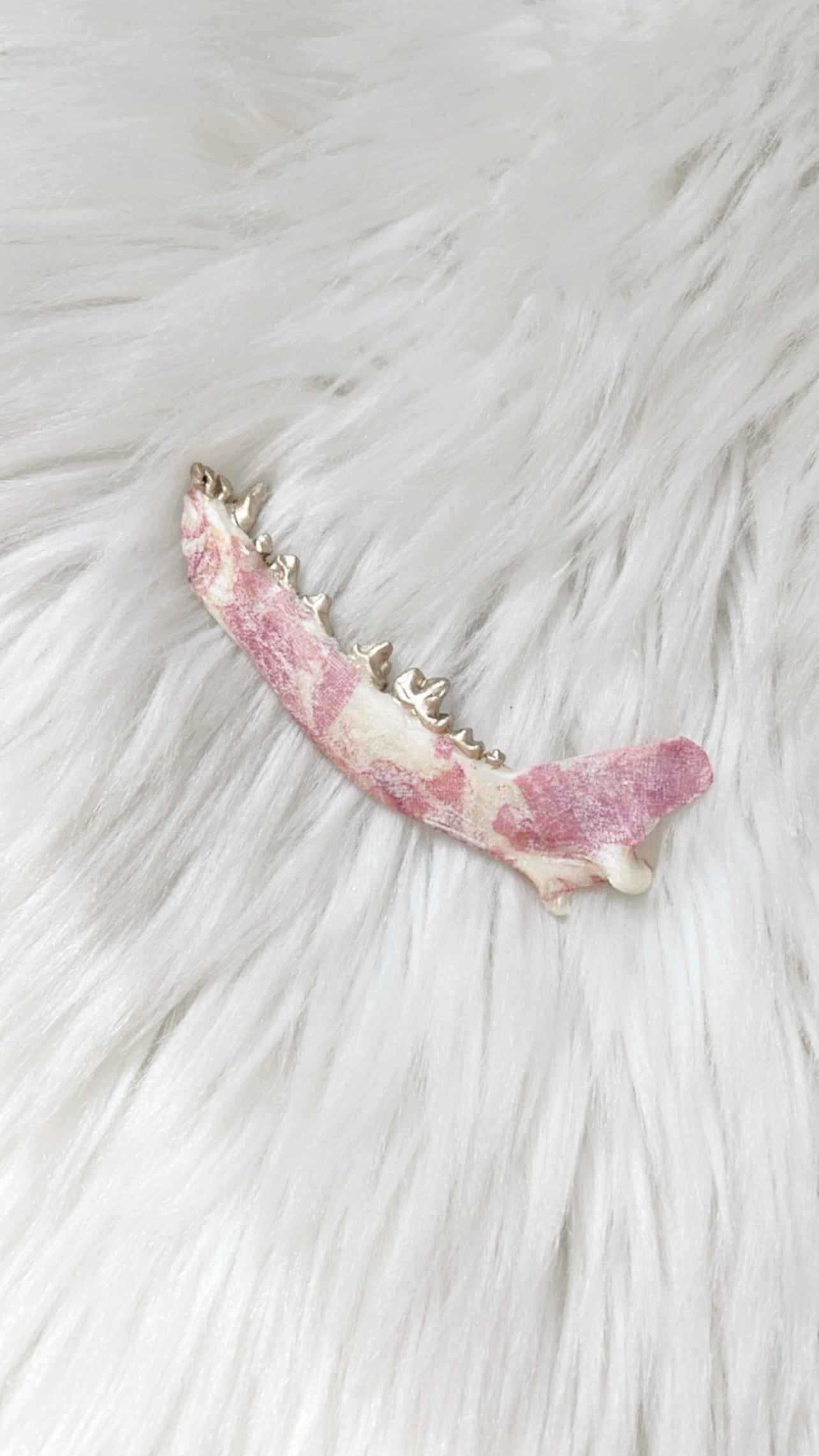 Mia Fox Jaw