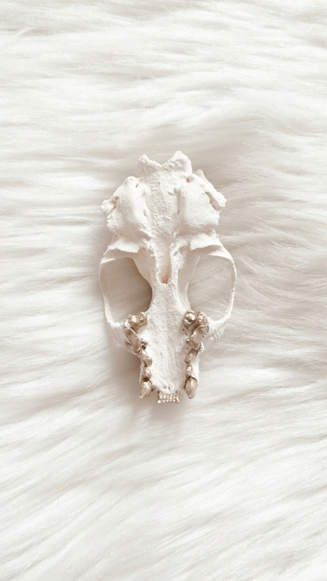 Mia Mink Skull