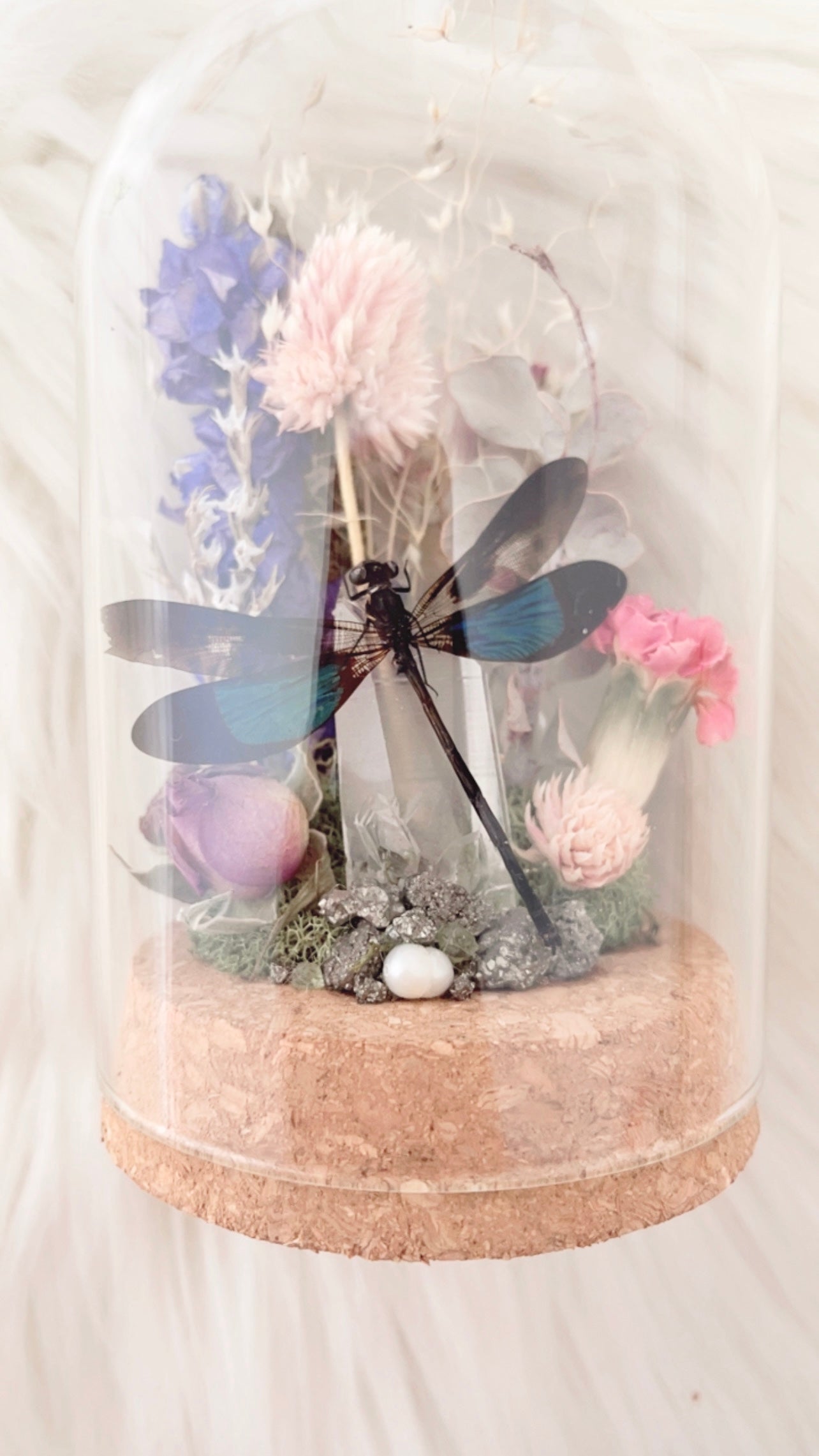 Mila Terrarium