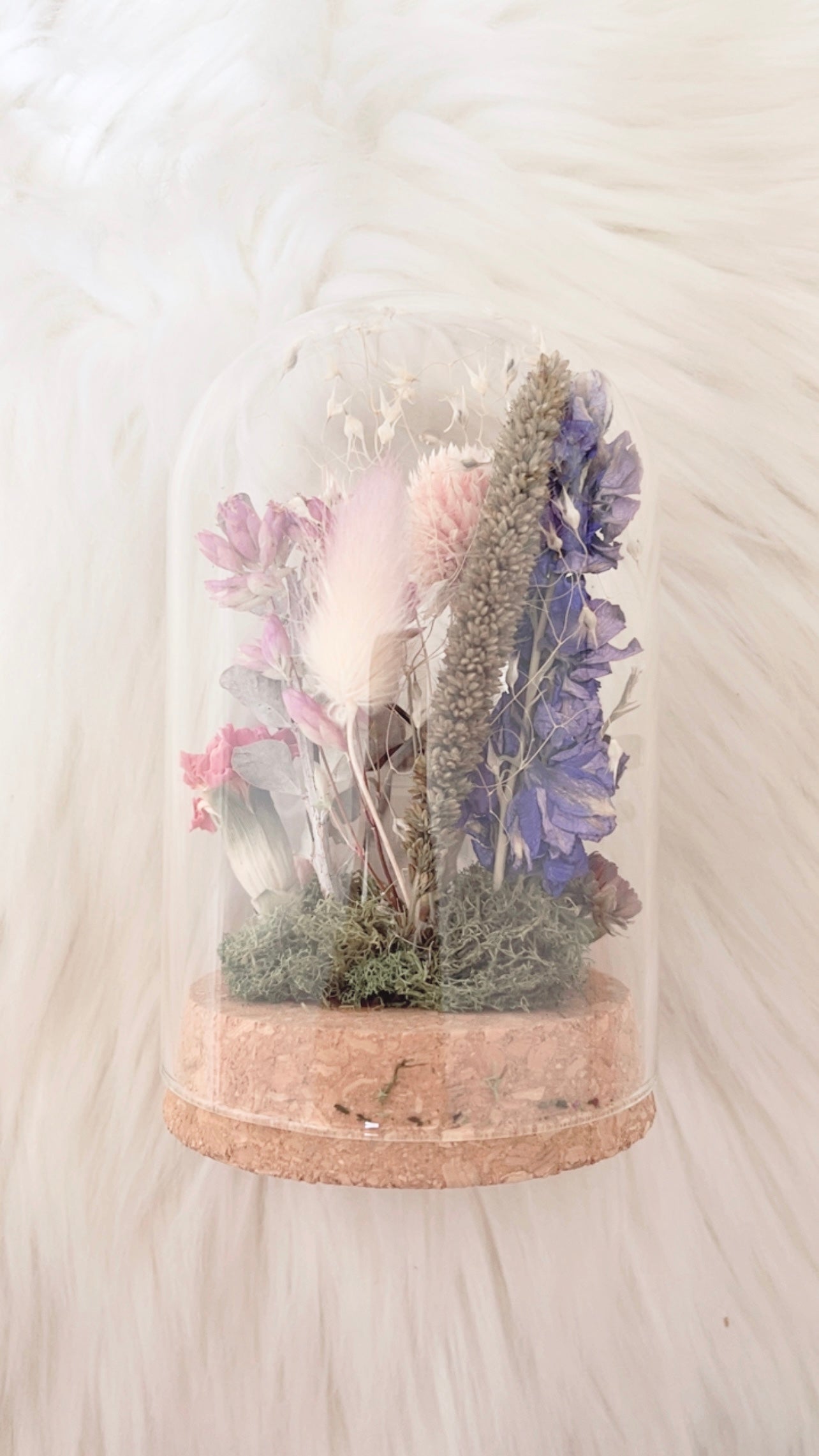 Mila Terrarium