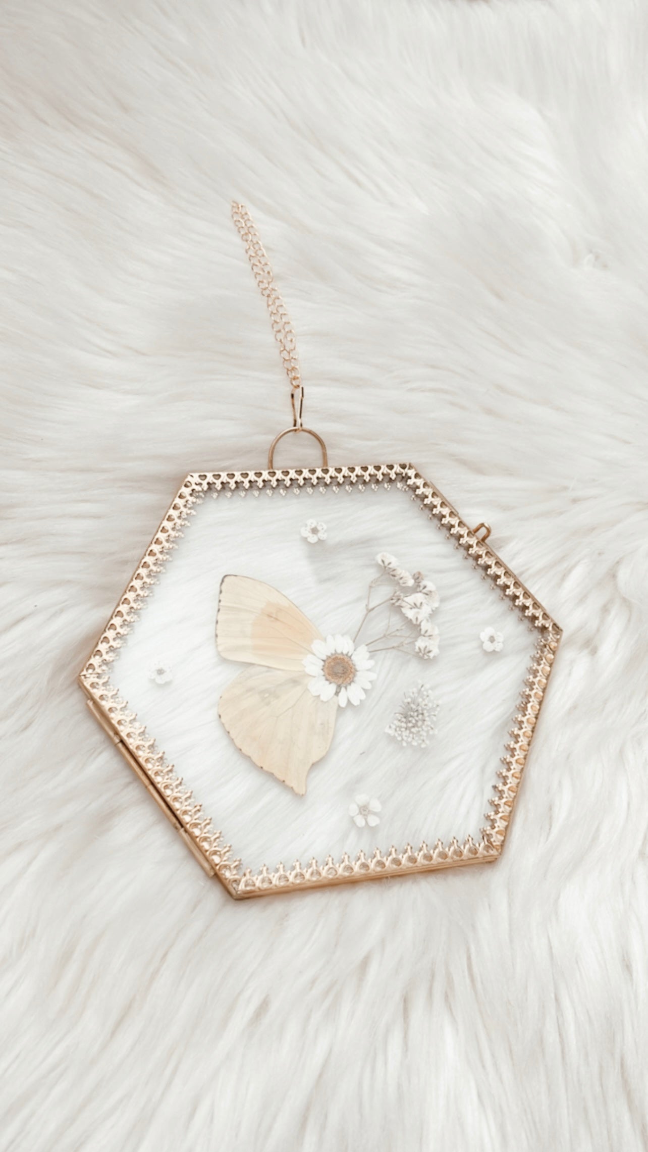 Miley Butterfly Floral Frame