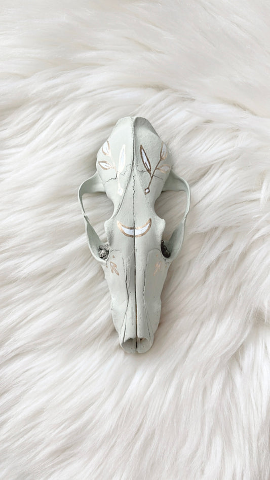 Millie Fox Skull