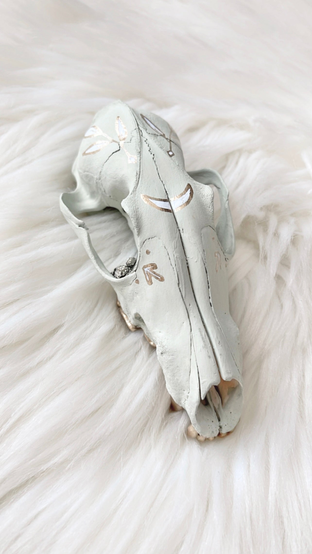Millie Fox Skull