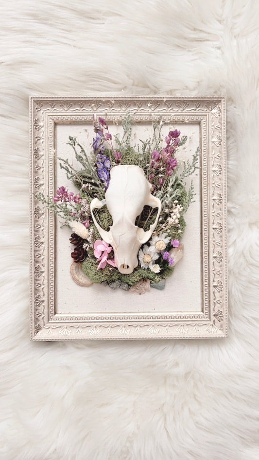 Millie Oddities Frame <Raccoon Skull>