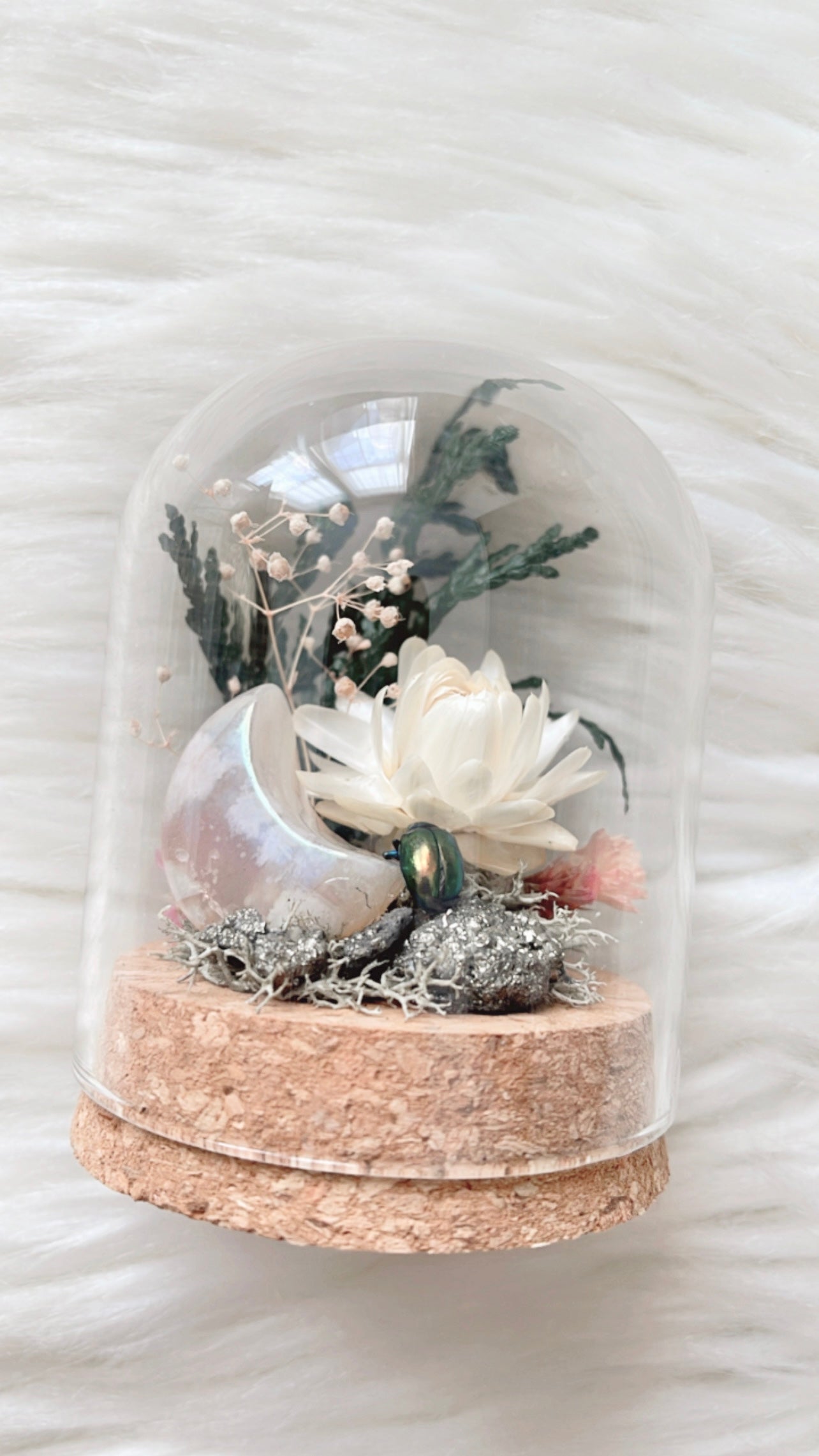 Mimi Terrarium