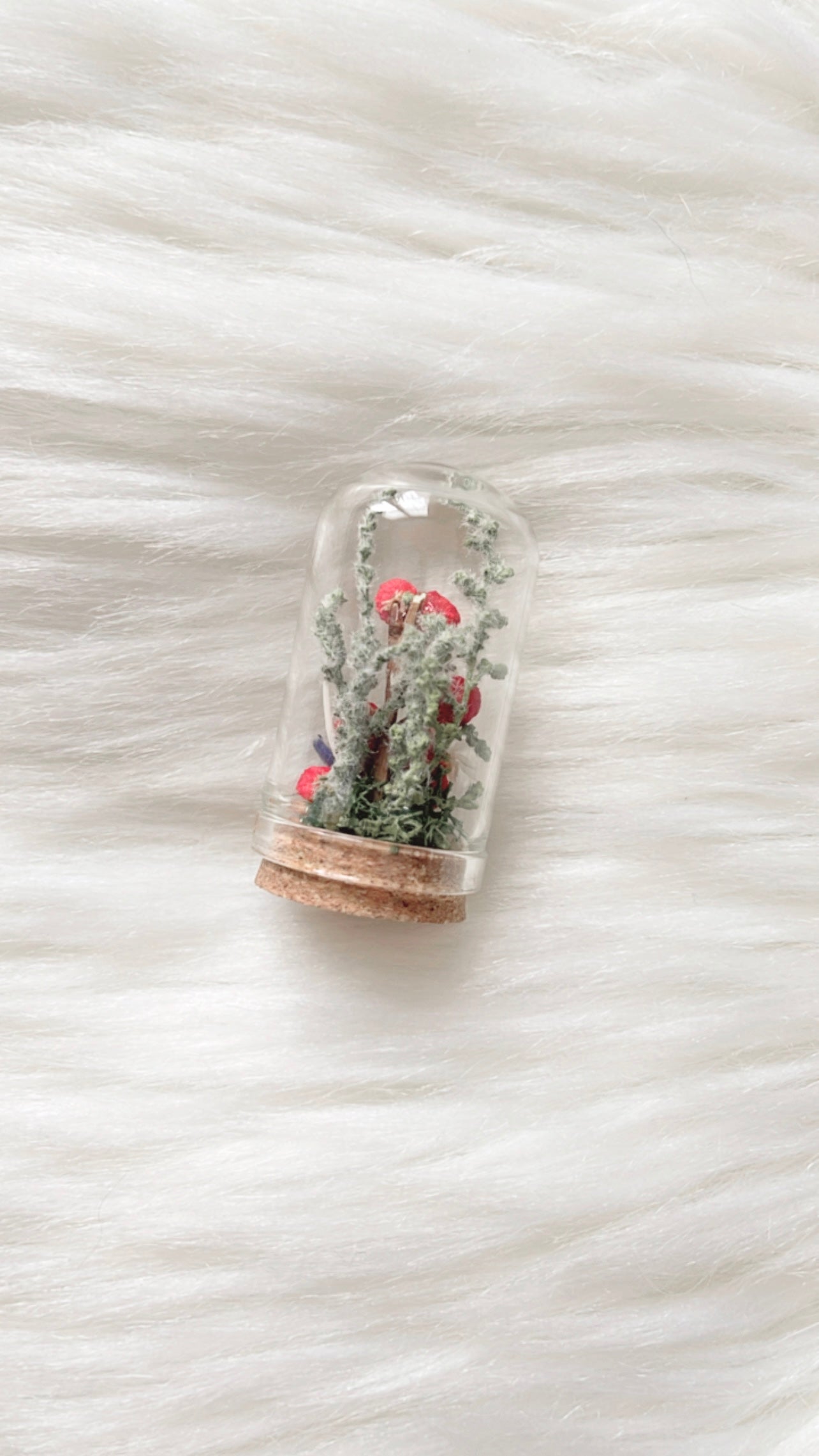 Mimi Terrarium
