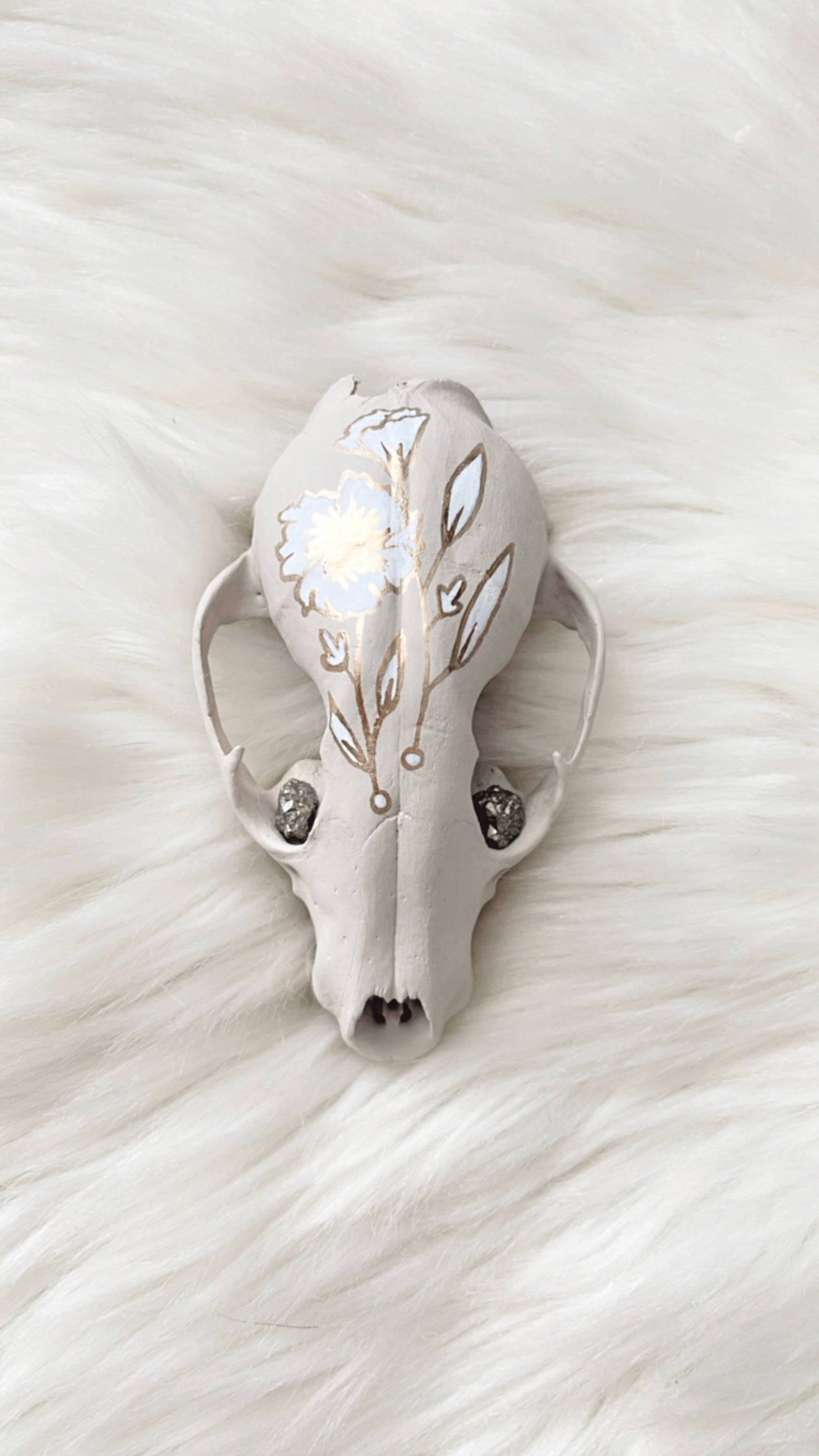 Minnie Raccoon Skull