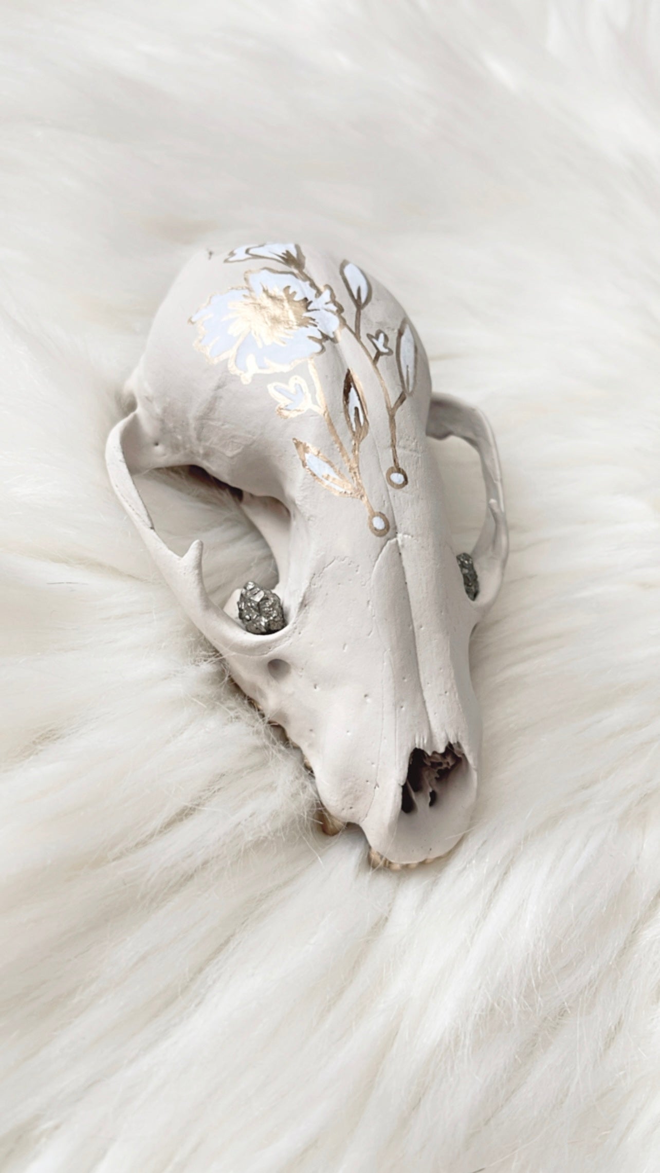 Minnie Raccoon Skull