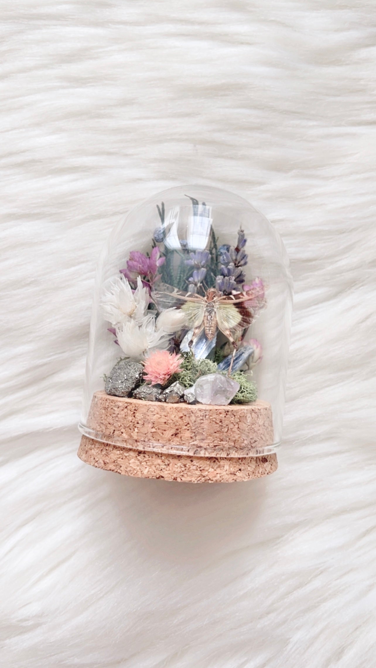 Miranda Terrarium