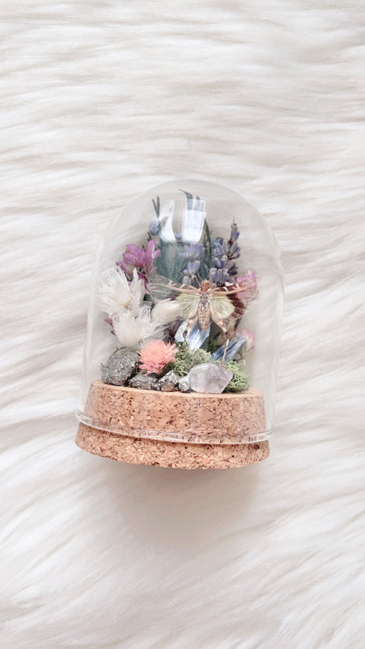 Miranda Terrarium