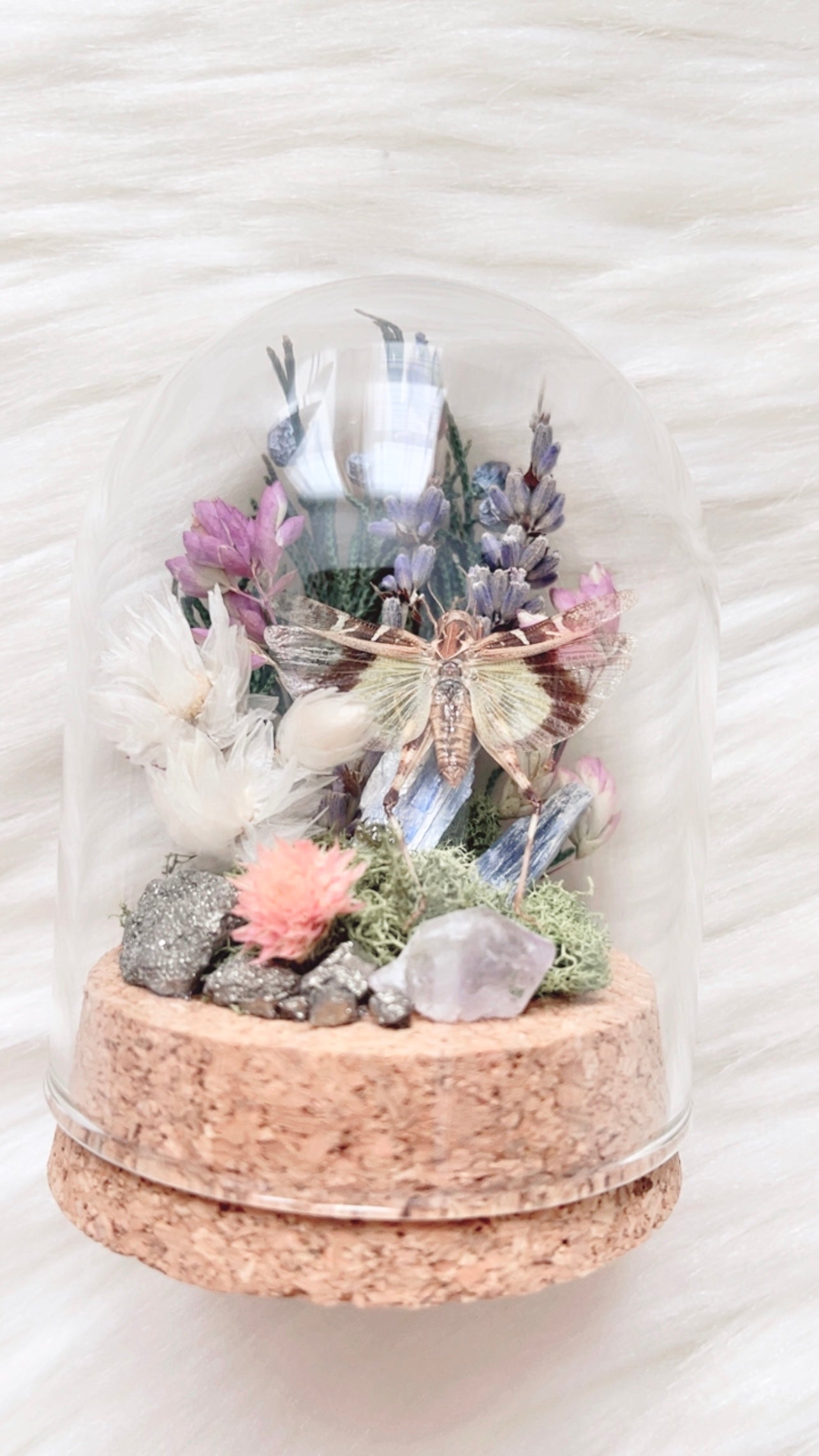 Miranda Terrarium