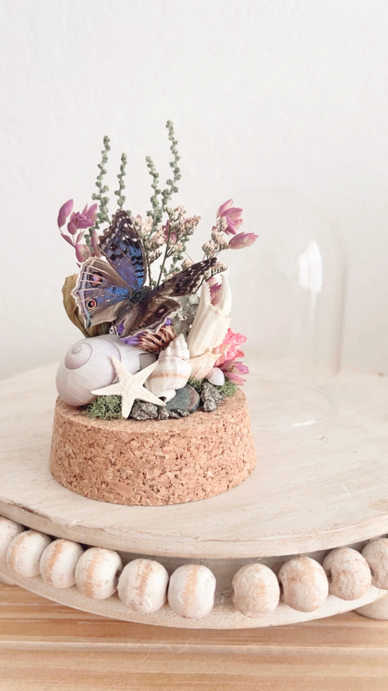 Mira Terrarium