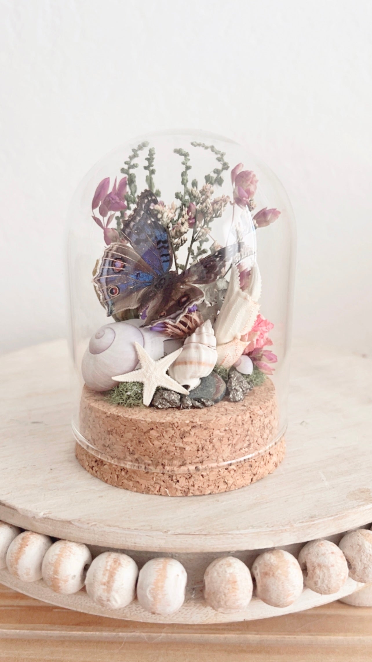 Mira Terrarium