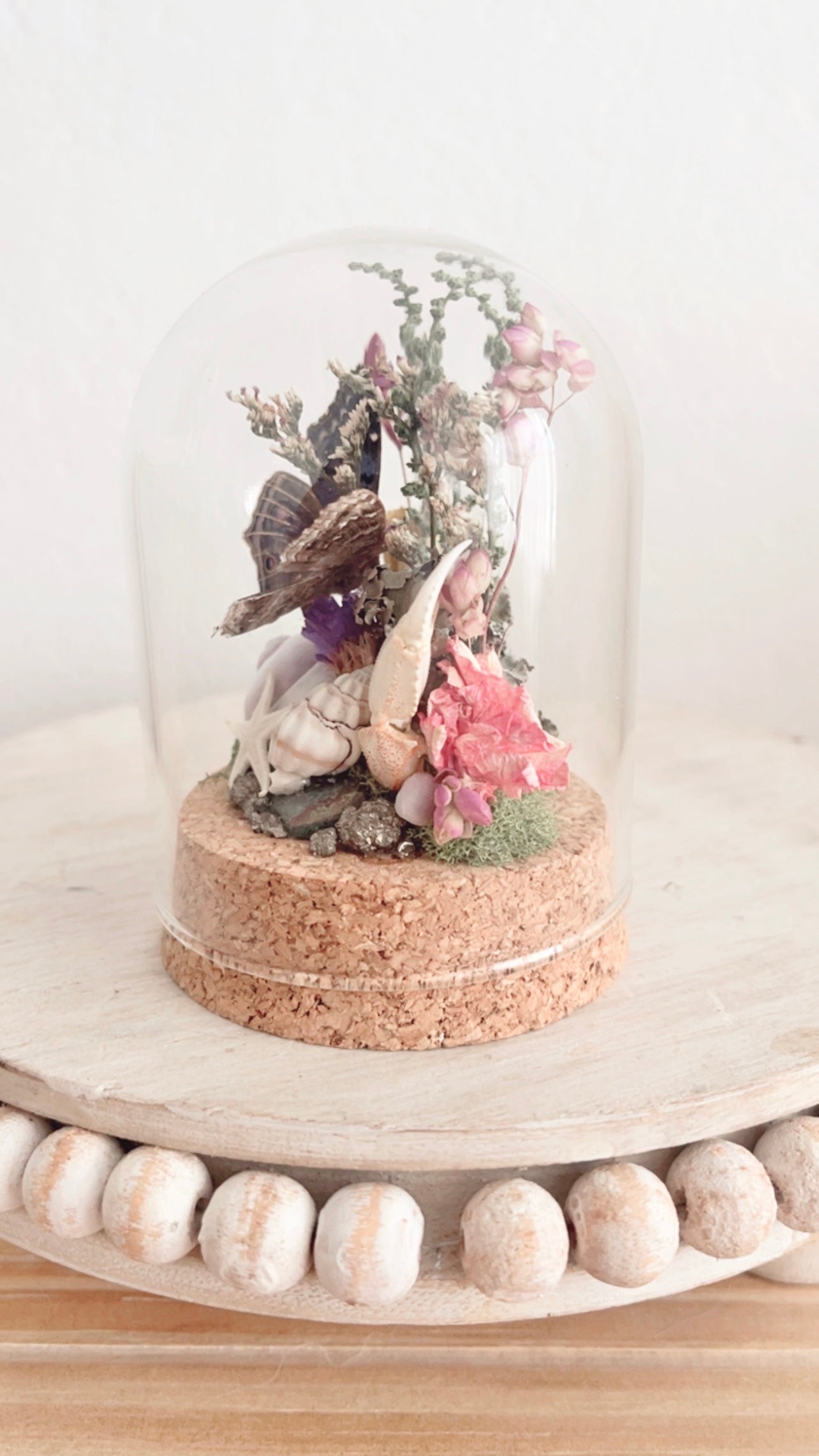 Mira Terrarium