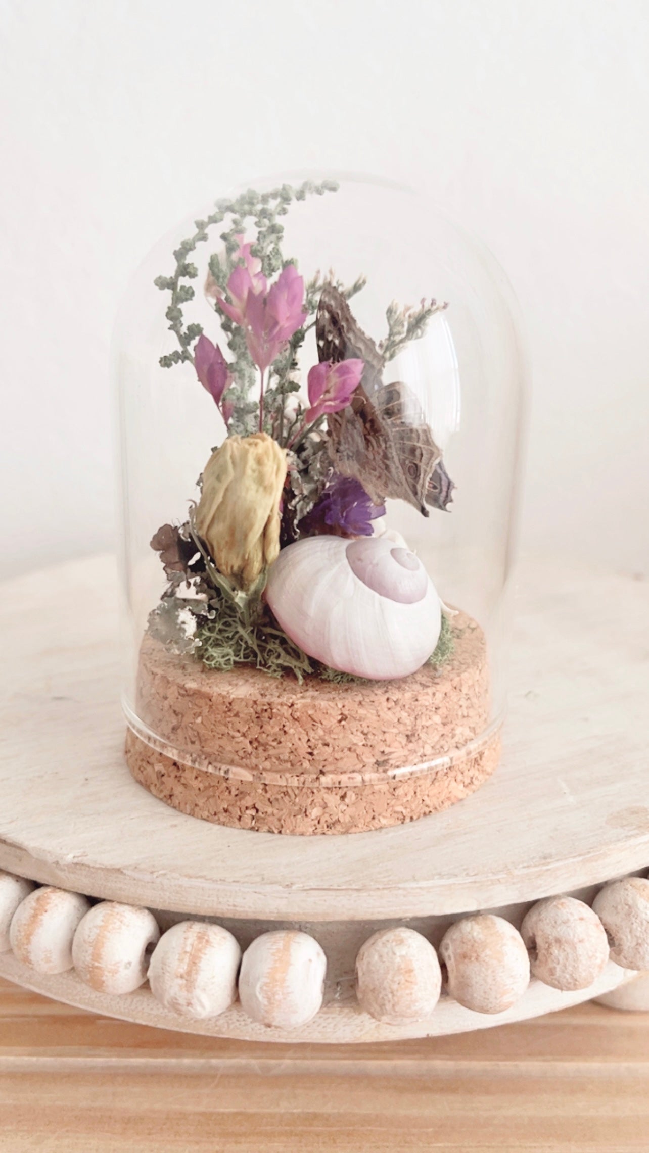 Mira Terrarium