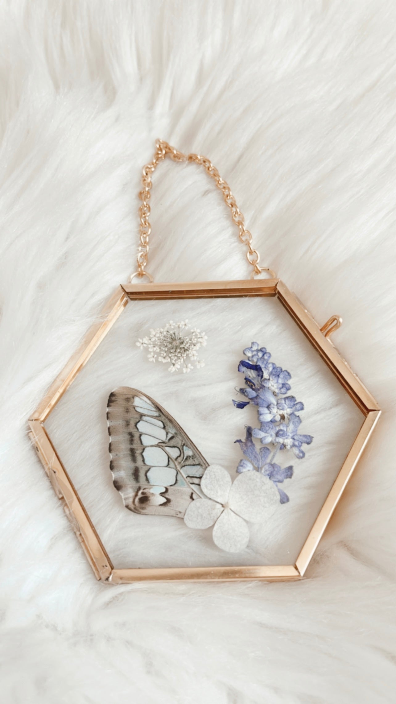 Missy Butterfly Floral Frame