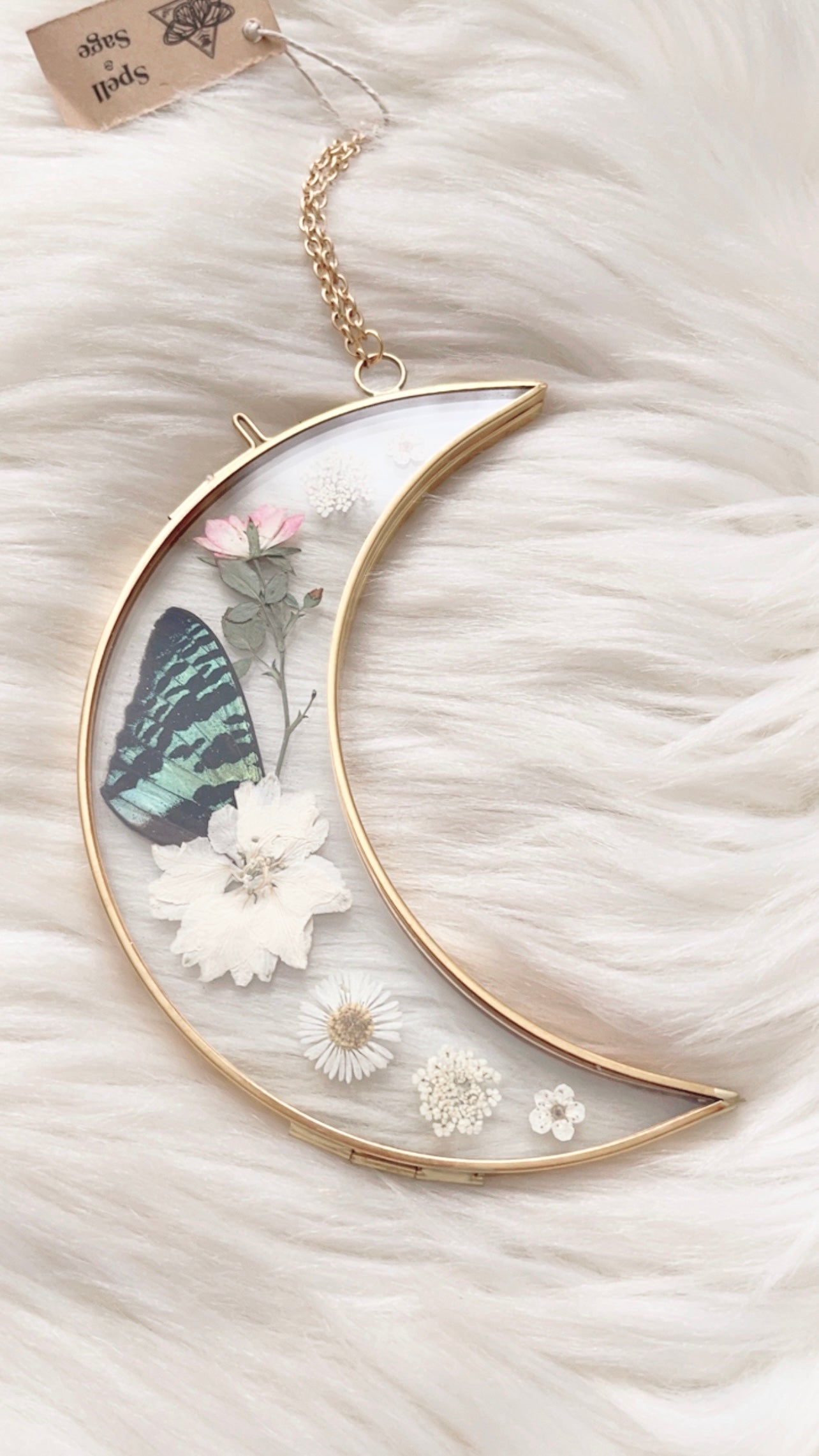 Mitzy Moth Moon Floral Frame