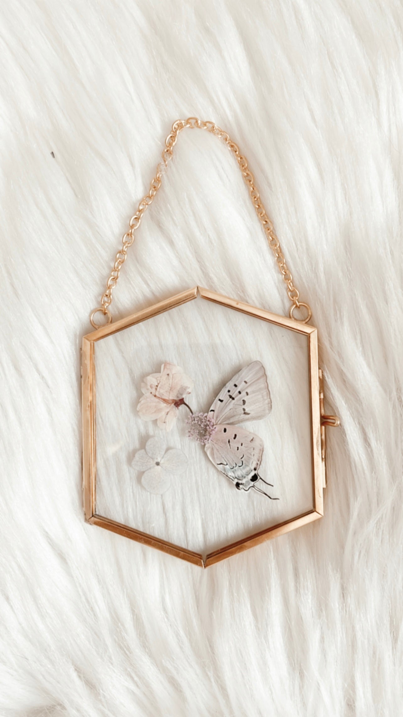 Monique Butterfly Floral Frame