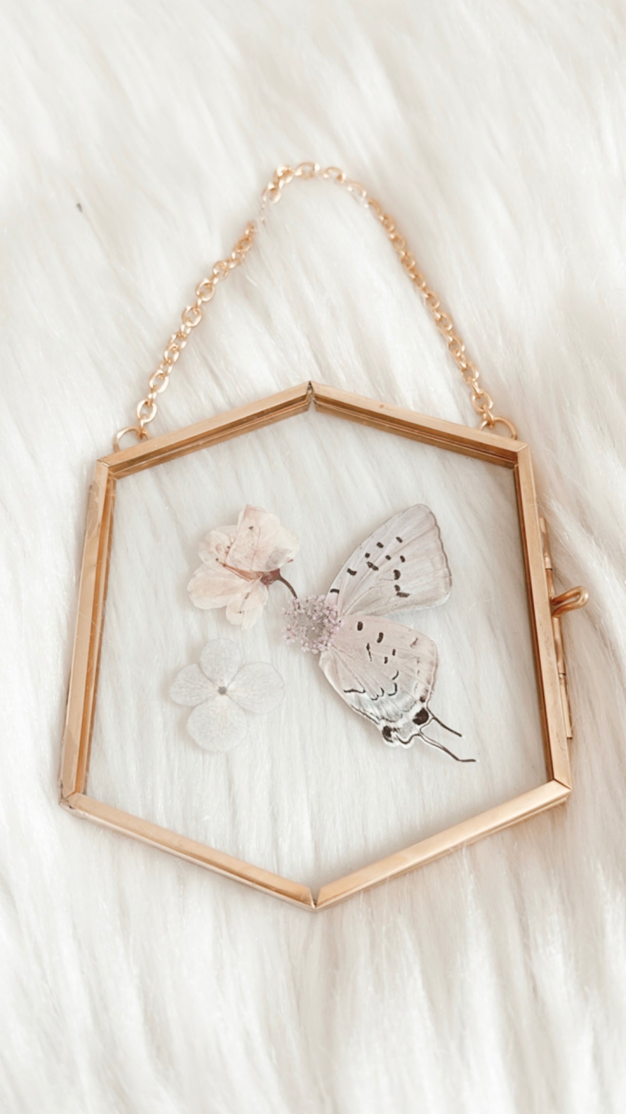 Monique Butterfly Floral Frame