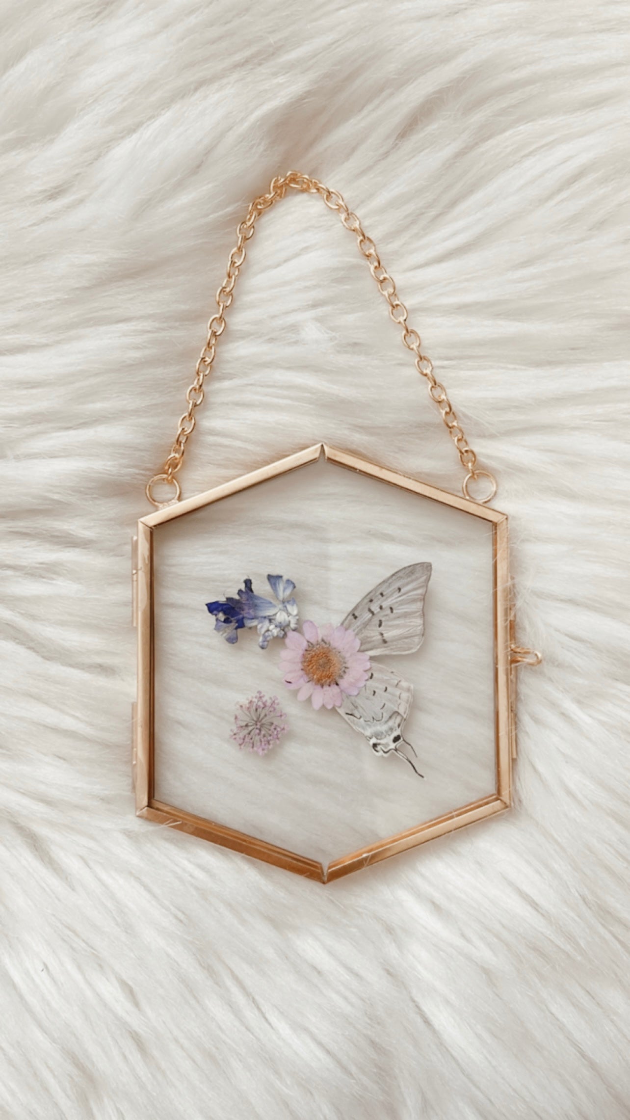 Morren Butterfly Floral Frame