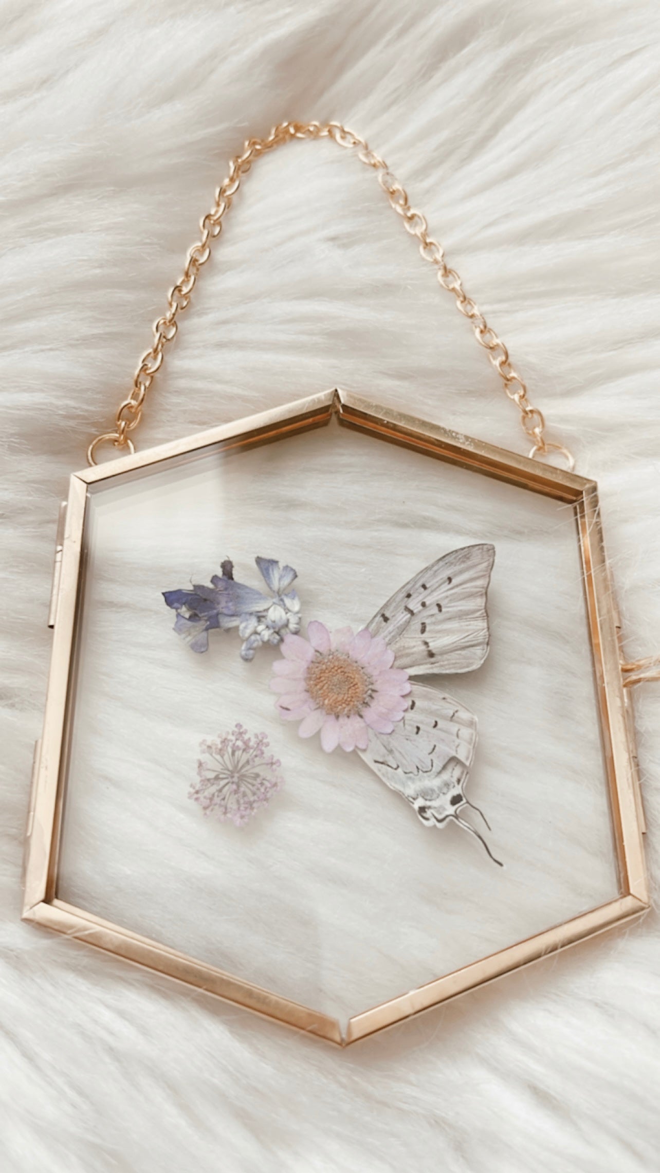 Morren Butterfly Floral Frame