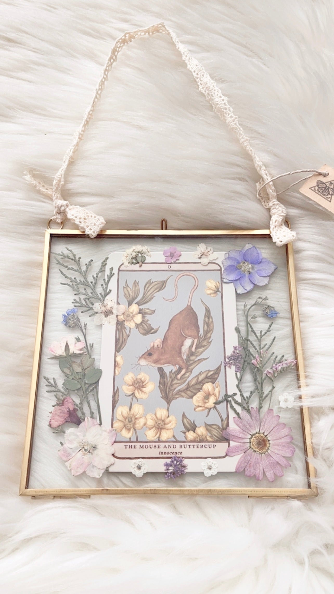 The Mouse and Butterfly Oracle Floral Frame