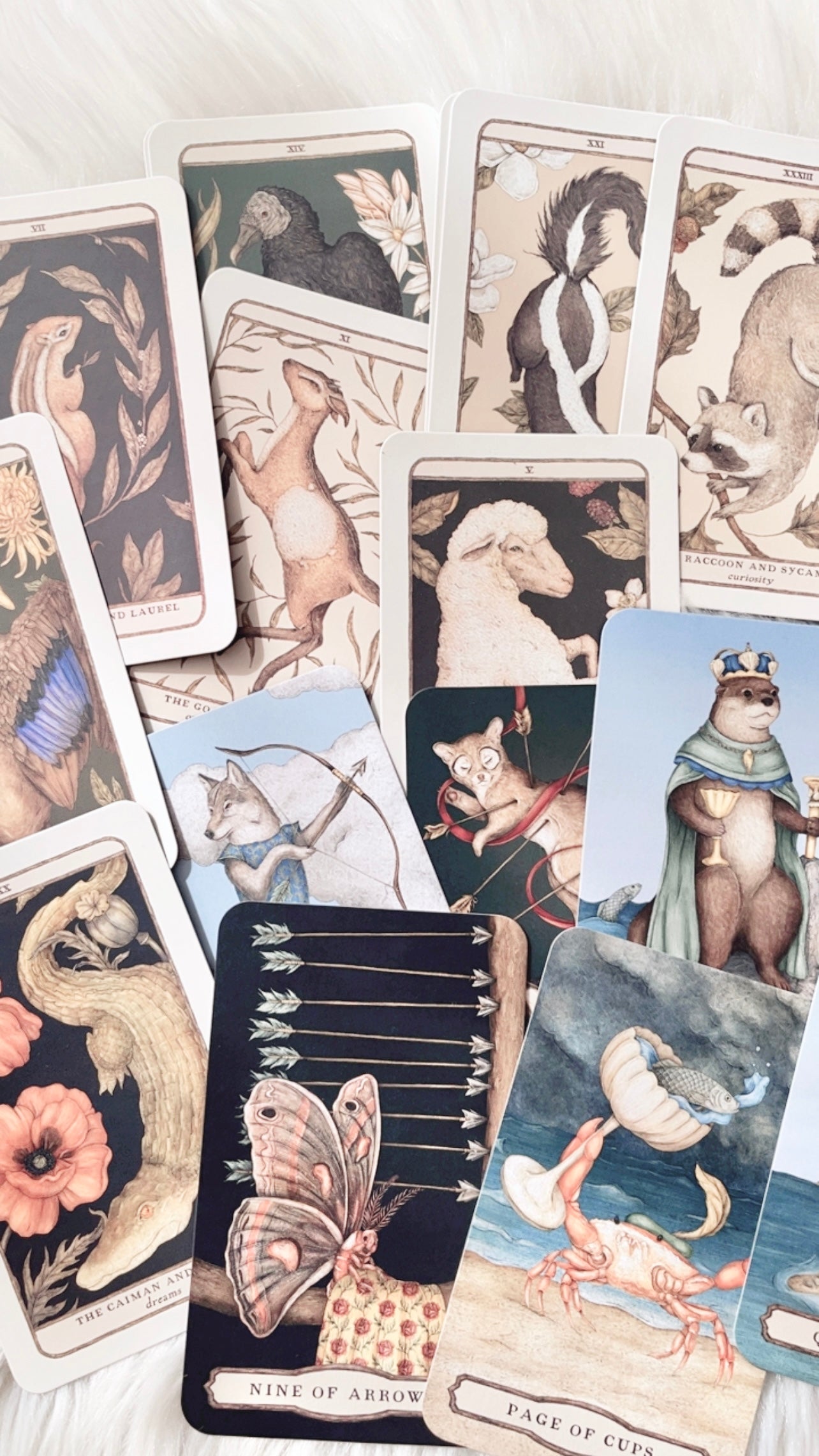 ✺ MYSTERY ORACLE or TAROT FLORAL FRAME ✺