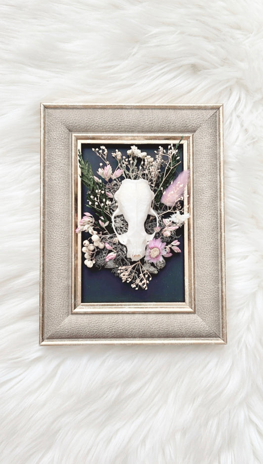 Nala Oddities Frame <Mink Skull>