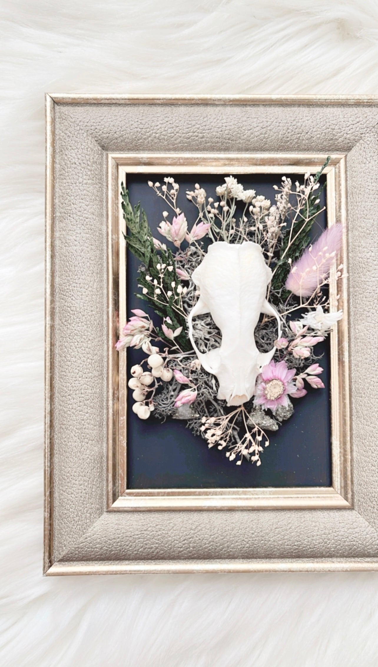 Nala Oddities Frame <Mink Skull>