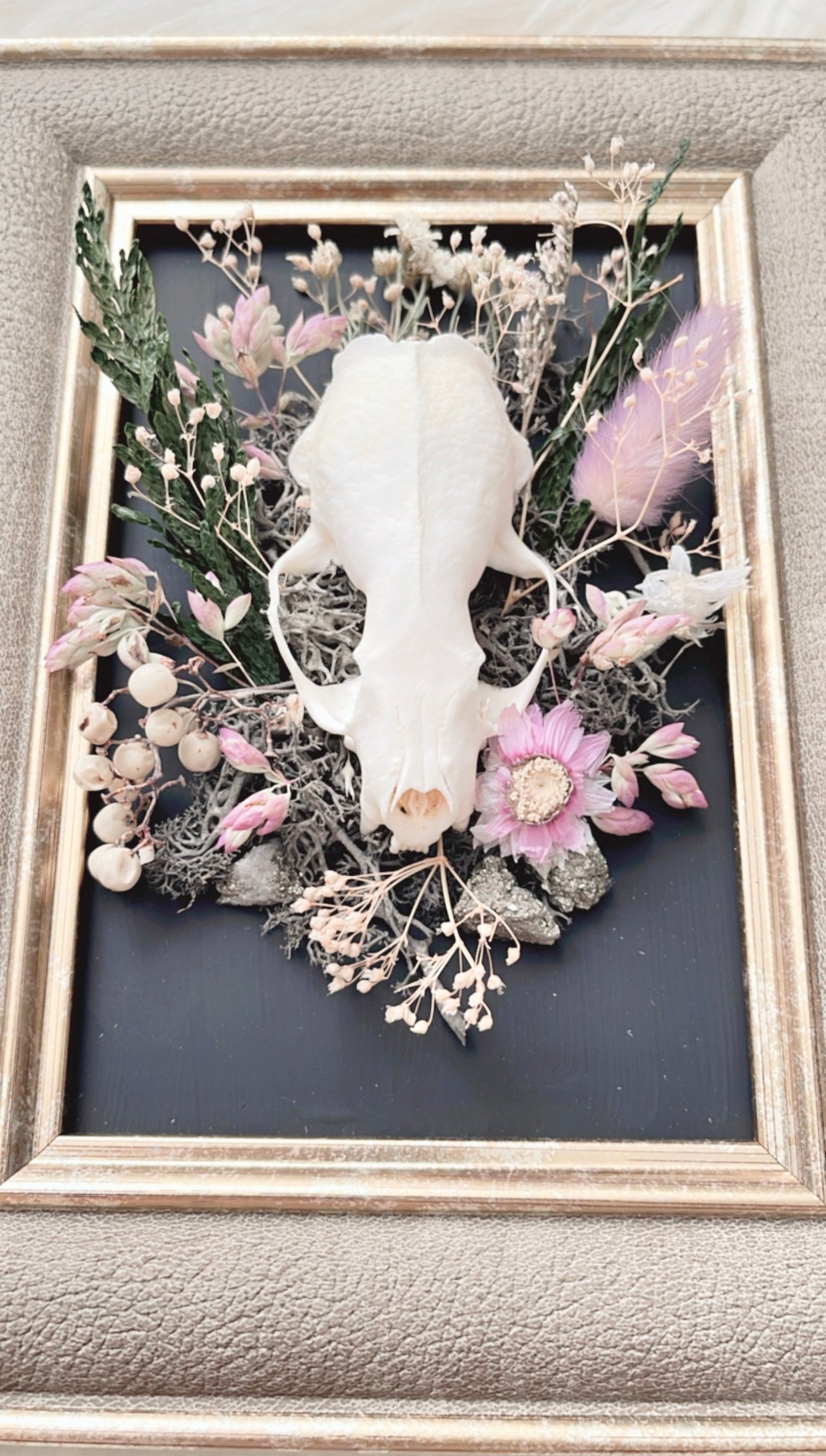 Nala Oddities Frame <Mink Skull>