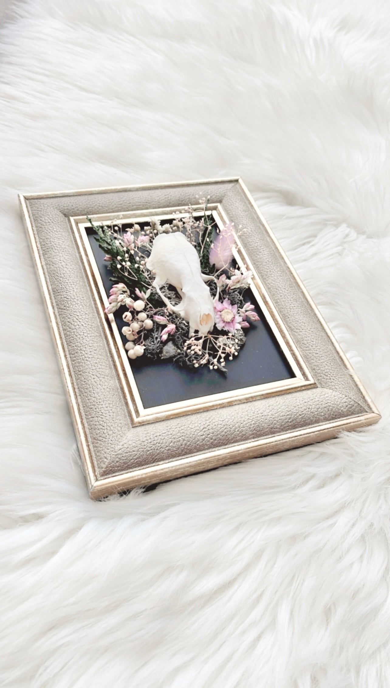 Nala Oddities Frame <Mink Skull>