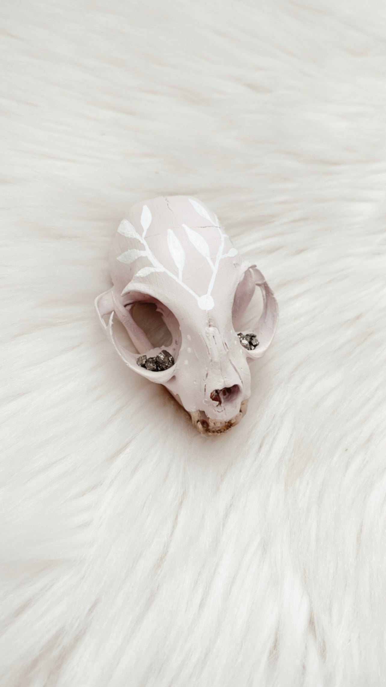 Nalini Cat Skull