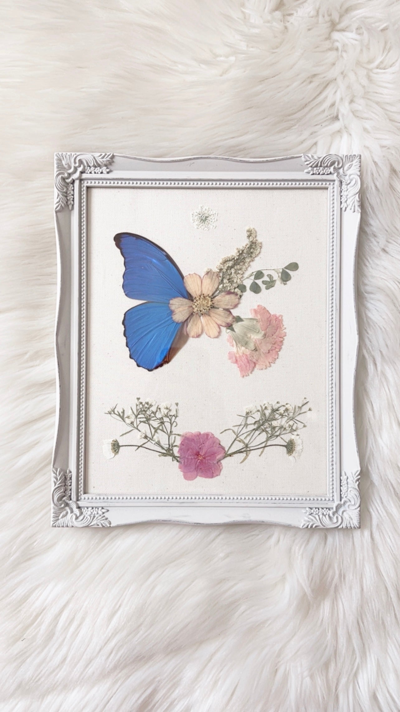 Natasha Butterfly Ornate Frame