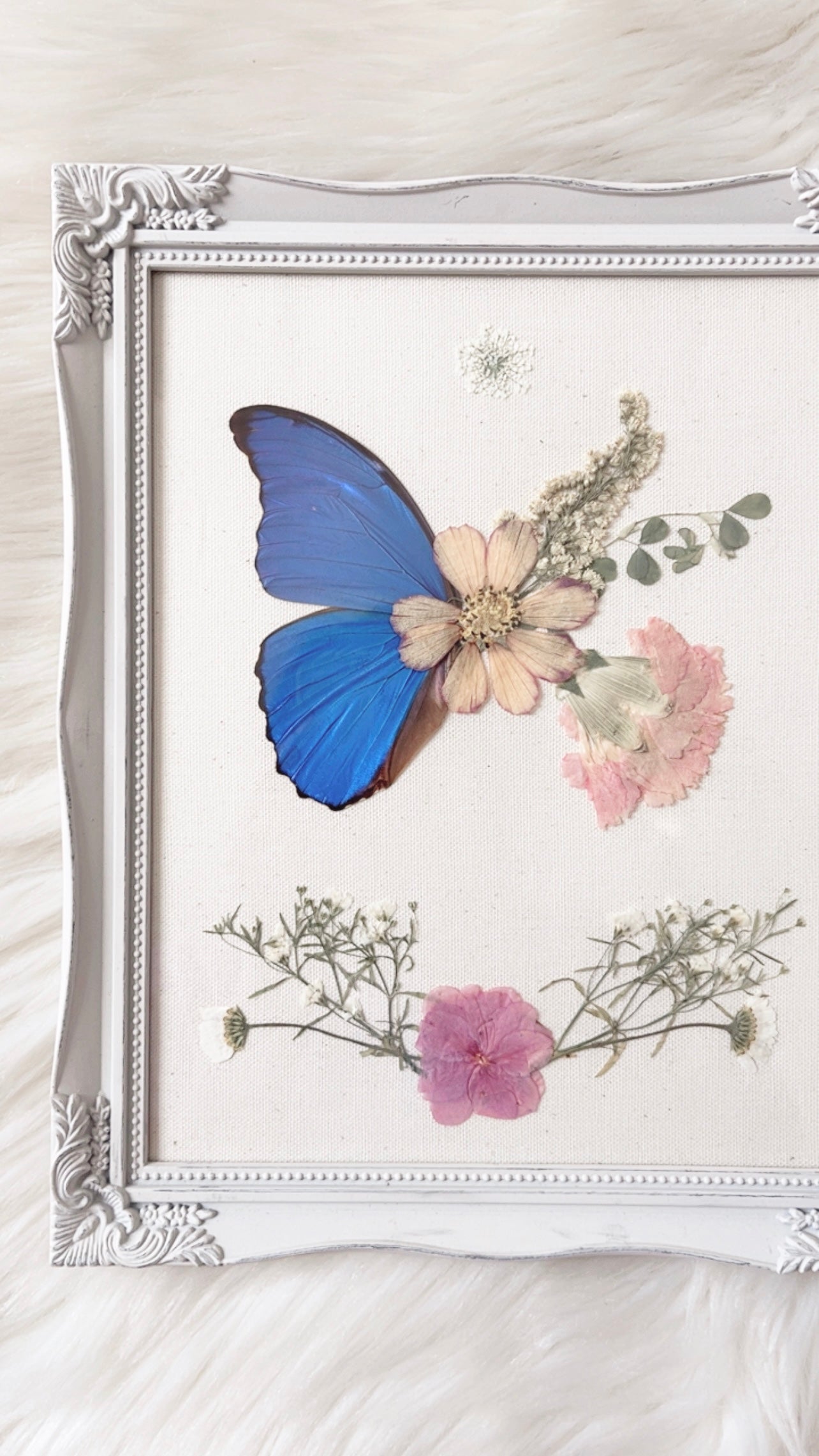 Natasha Butterfly Ornate Frame
