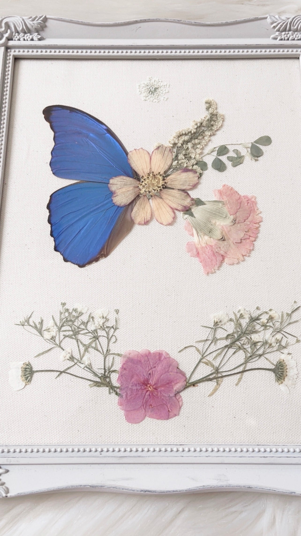 Natasha Butterfly Ornate Frame