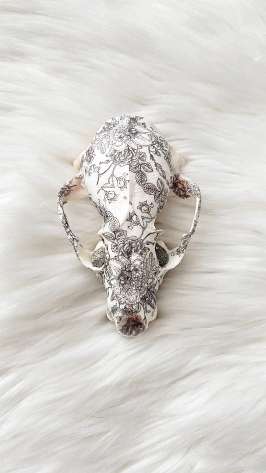 Nellie Raccoon Skull