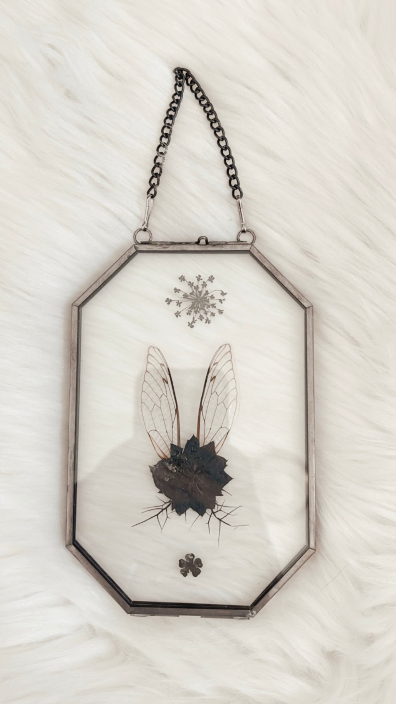Noémie Cicada Floral Frame