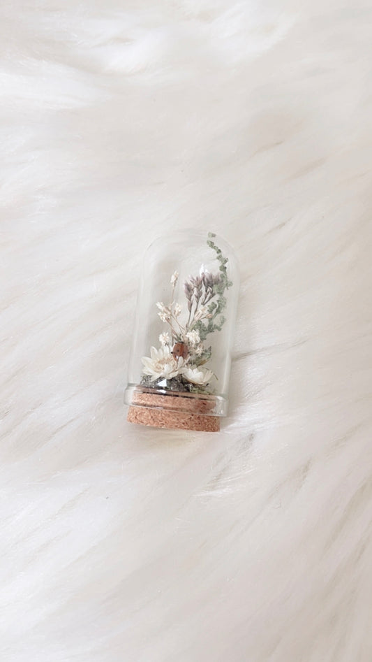 Nyla Mini Terrarium