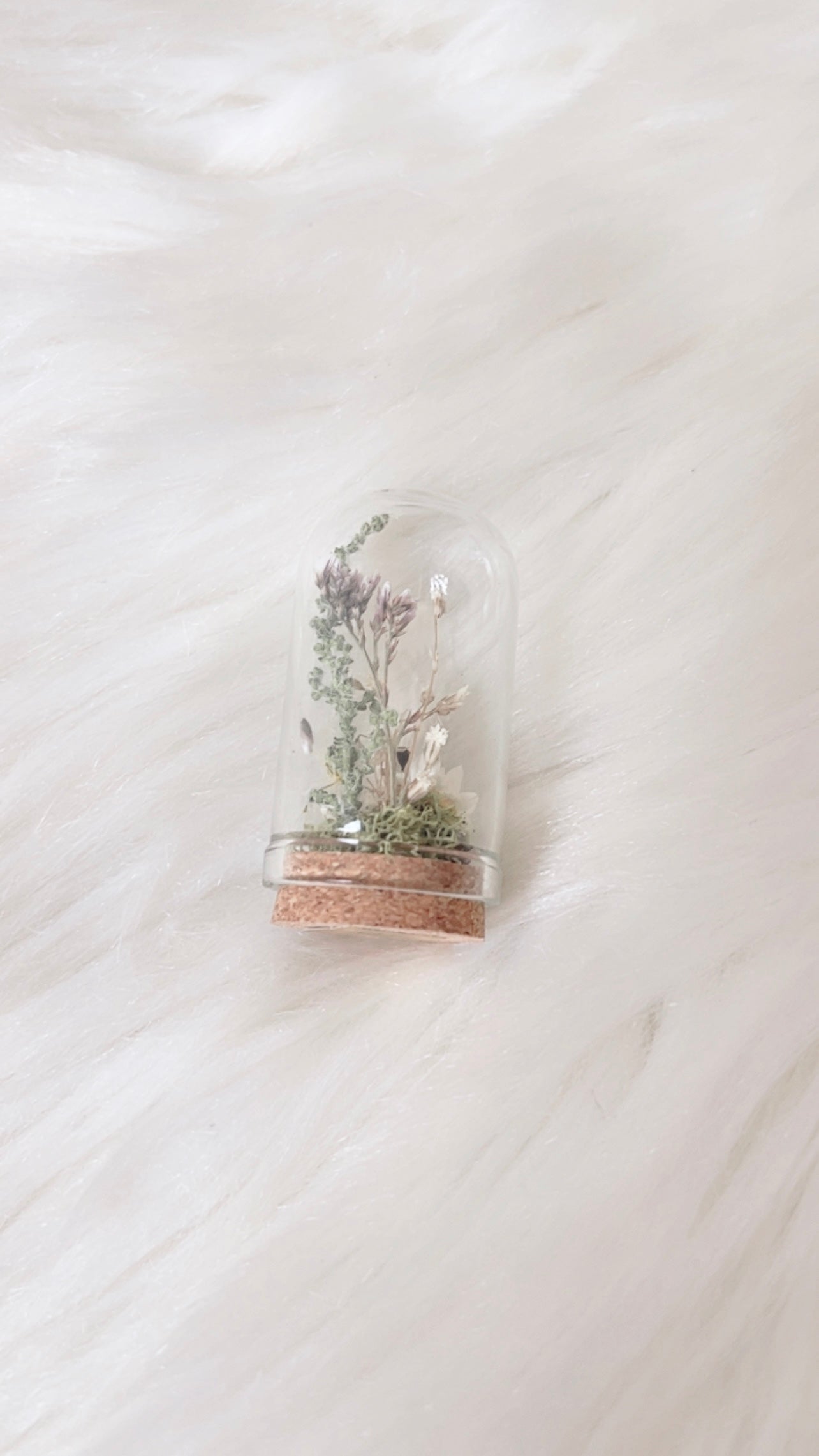 Nyla Mini Terrarium