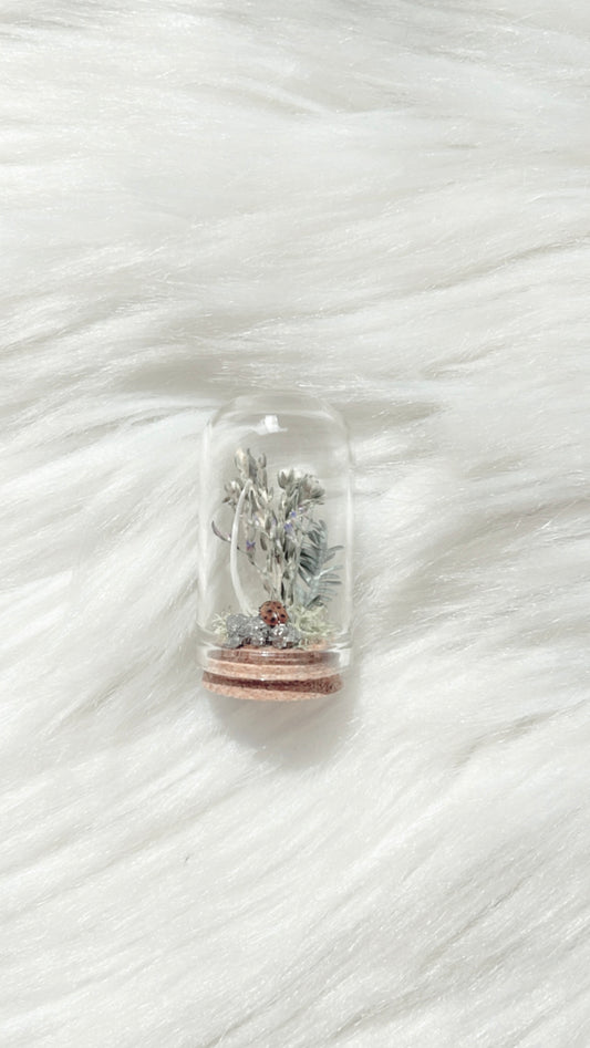 Oakley Terrarium