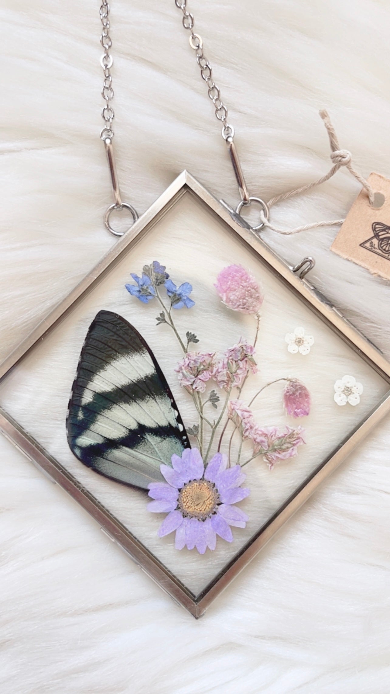Oaklynn Butterfly Floral Frame <4.75x4.75in>
