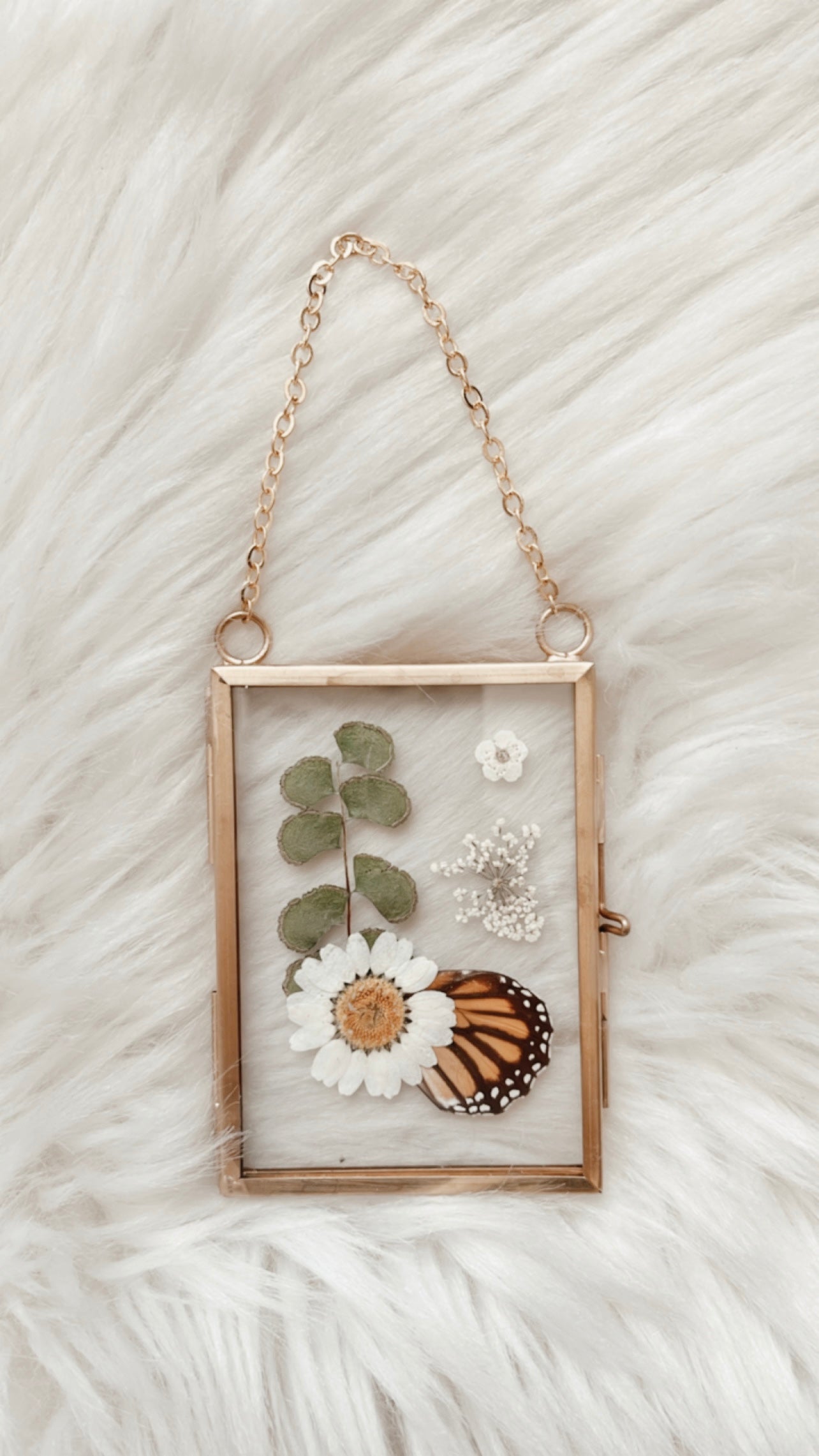 Olive Butterfly Floral Frame