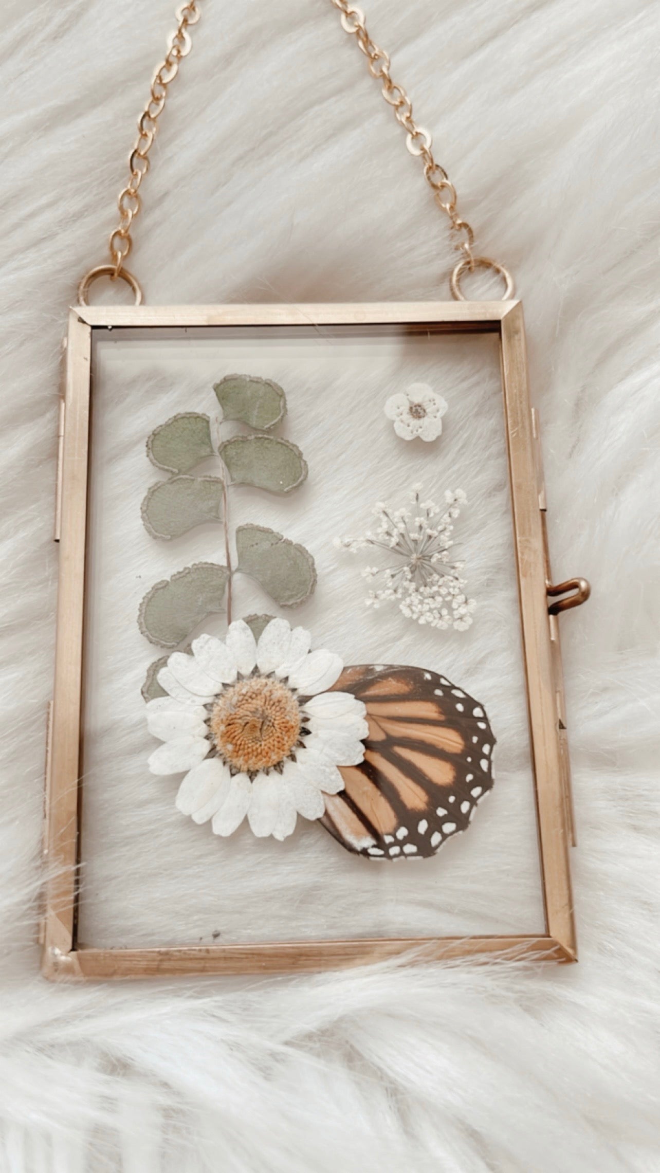 Olive Butterfly Floral Frame