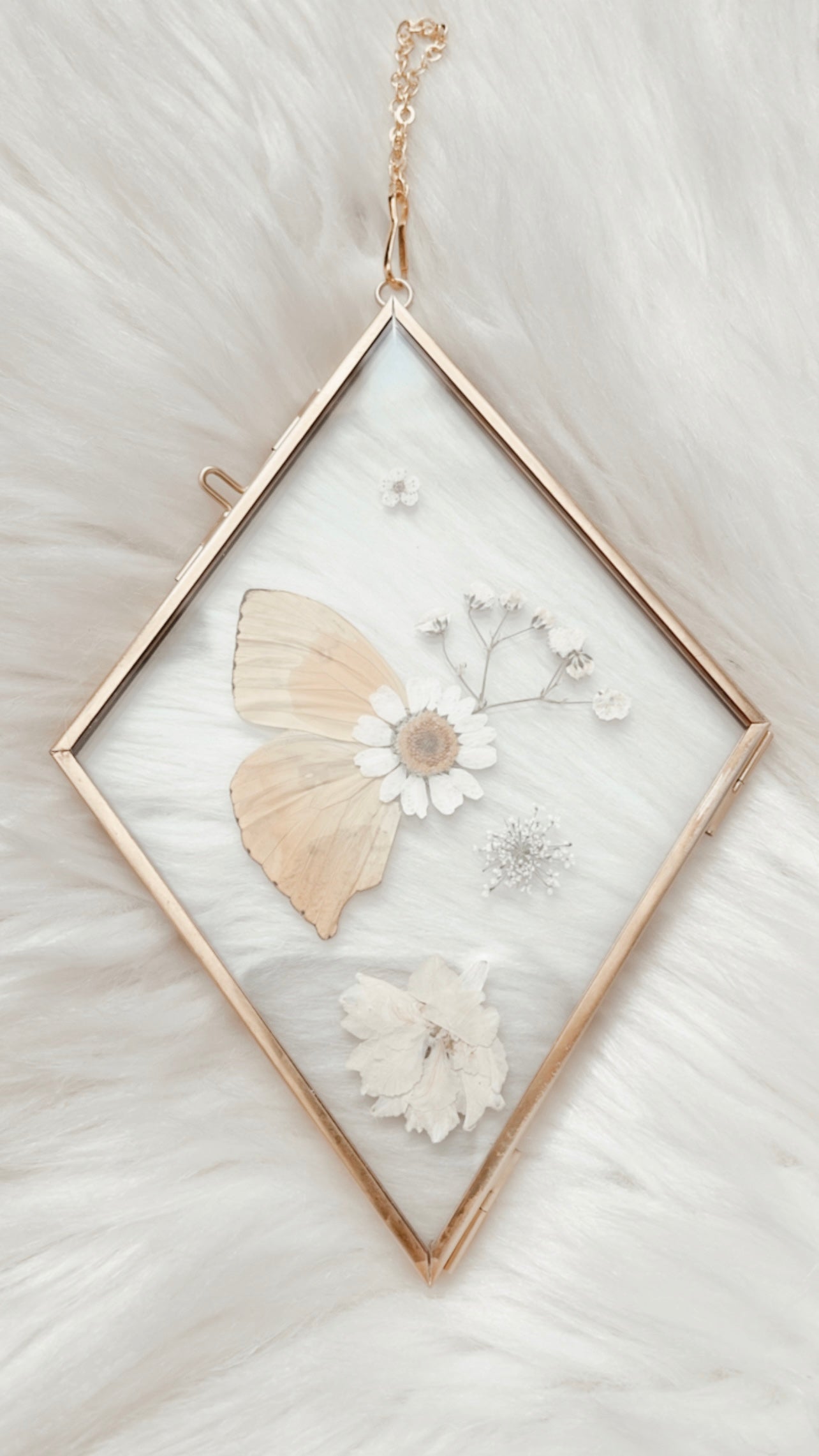 Olivia Butterfly Floral Frame