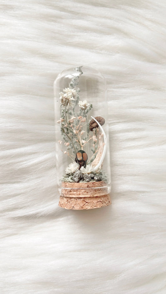 Ophelia Terrarium