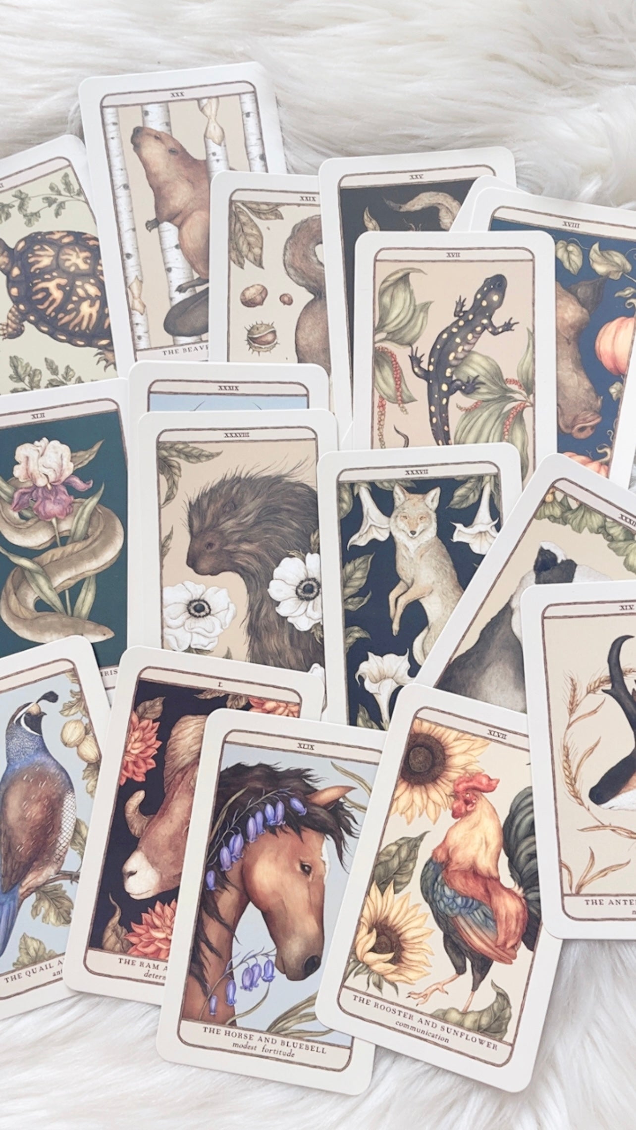 Woodland Wardens Oracle Deck by Jessica Roux